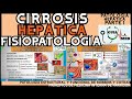 CIRROSIS HEPÁTICA FISIOPATOLOGÍA | GuiaMed