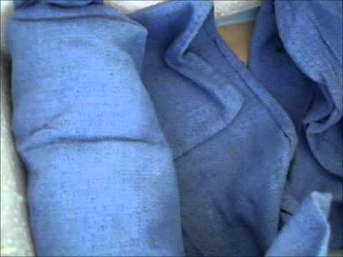 veterinary surgery Baby squirrel cries for food