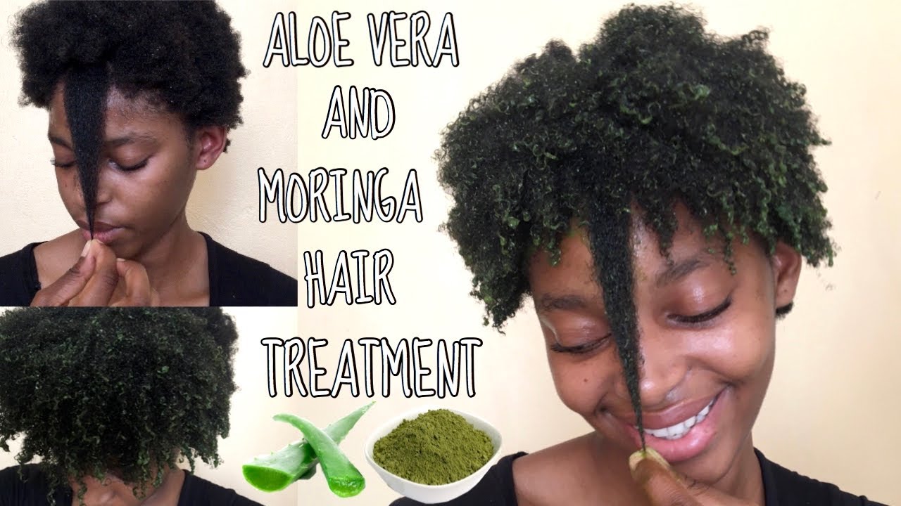 DIY: Aloe Vera and Moringa Hair Treatment