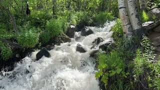 Rushing Stream White Noise in 4k