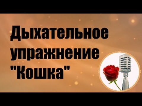 Дыхательное упражнение "Кошка" для голоса