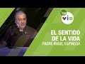 El sentido de la vida, Padre Ángel Espinosa - Tele VID