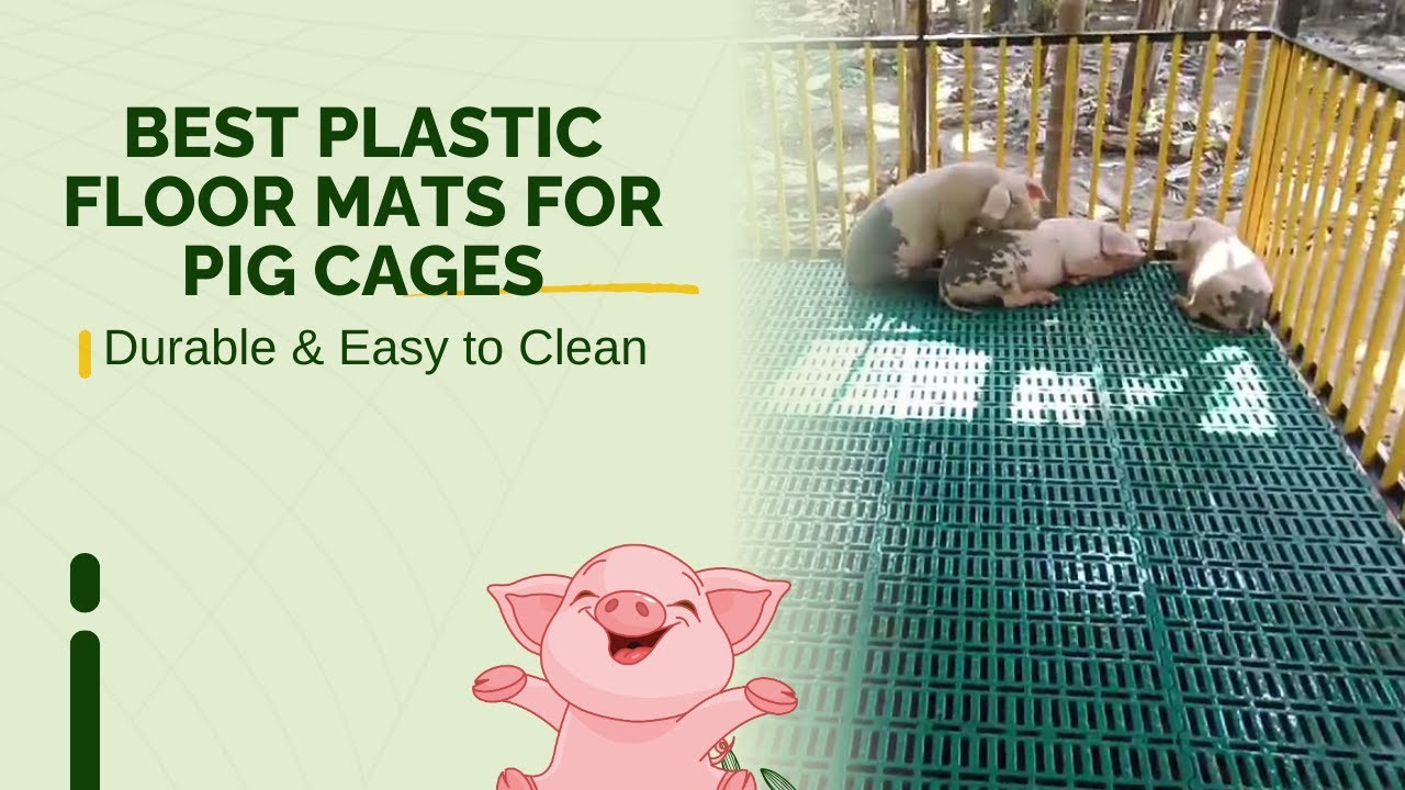Pig Mat Table Best Plastic Floor Mats for Pig Cages 🐖 | Durable, Hygienic & Easy to ...