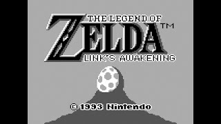 The Legend Of Zelda: Link's Awakening: Rapids Ride