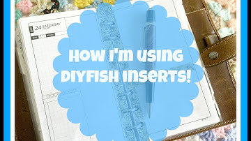 DIYfish Inserts: Setup and How I