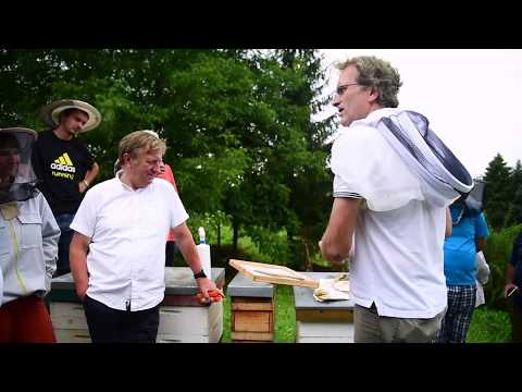 Varroa treatment with powder sugar - video from Varroa Controller