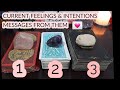 🔮THEIR CURRENT FEELINGS & INTENTIONS FOR U🔮 MESSAGES FROM THEM + NEXT MOVE 🤔❤️ TIMELESS