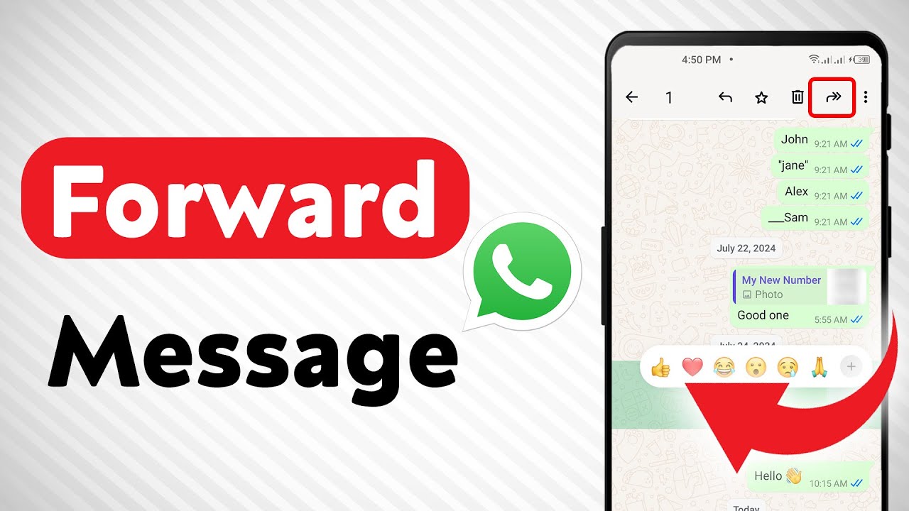 How to Forward A Message On WhatsApp (Updated)