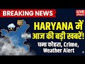 Haryana News Today 12 January|घना कोहरा, Hit &amp; Run, Crime Updates, Weather Alert|Haryana Latest News