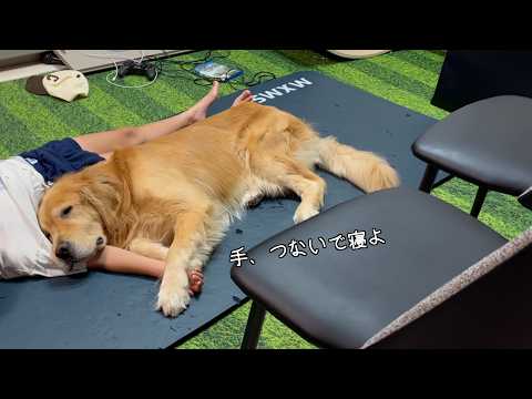 小さい頃と、なんにも変わらない一体感のまま成長している2人