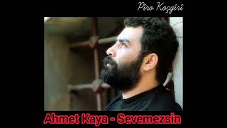 Ahmet Kaya - Sevemezsin Resimi