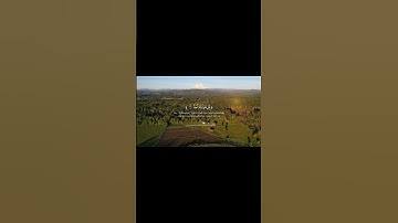 سوره الاخلاص بصوت القارئ إسلام صبحي