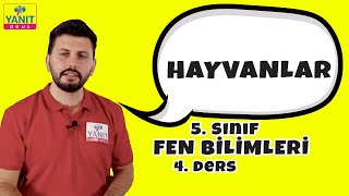 Hayvanlar | Canlılar Dünyası 2 | 5. Sınıf Fen Bilimleri Konu Anlatımları #5fnblmlr