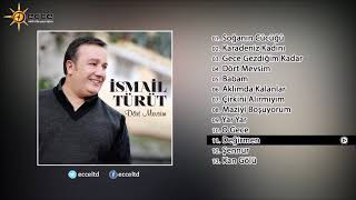 Değirmen - İsmail Türüt Resimi