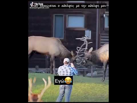 Οταν τσακώνεται ο