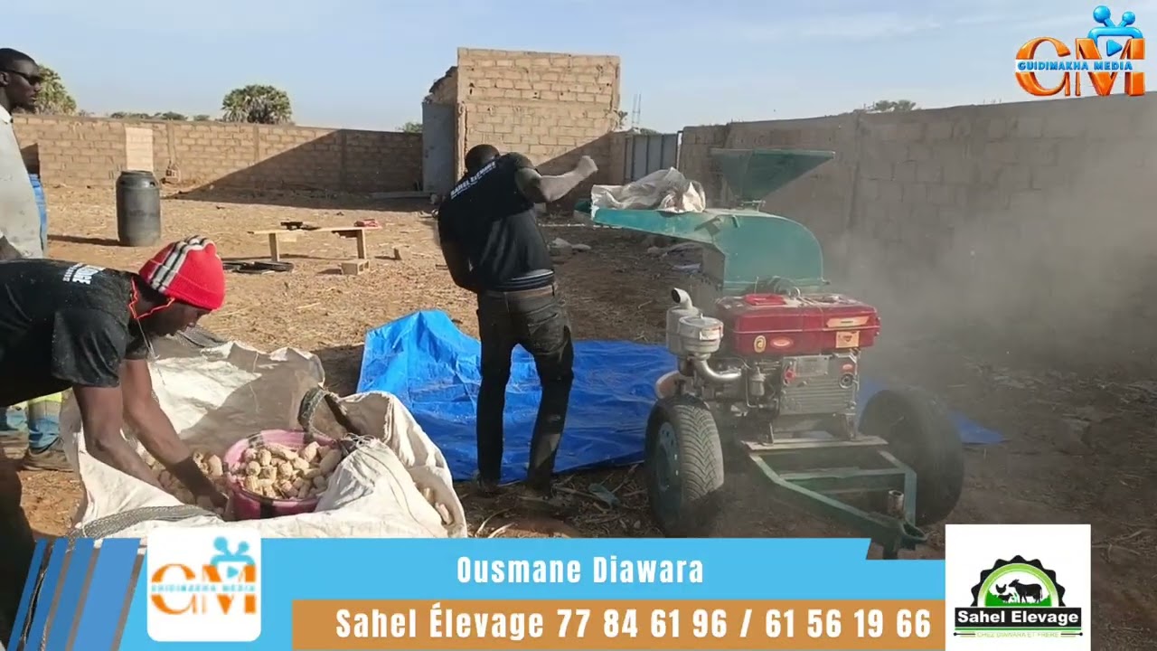 Ban Soumane Diawara Bafarara Sahel Élevage 