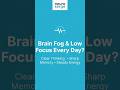 Brain Fog &amp; Low Focus Every Day? Try Neuro Serge