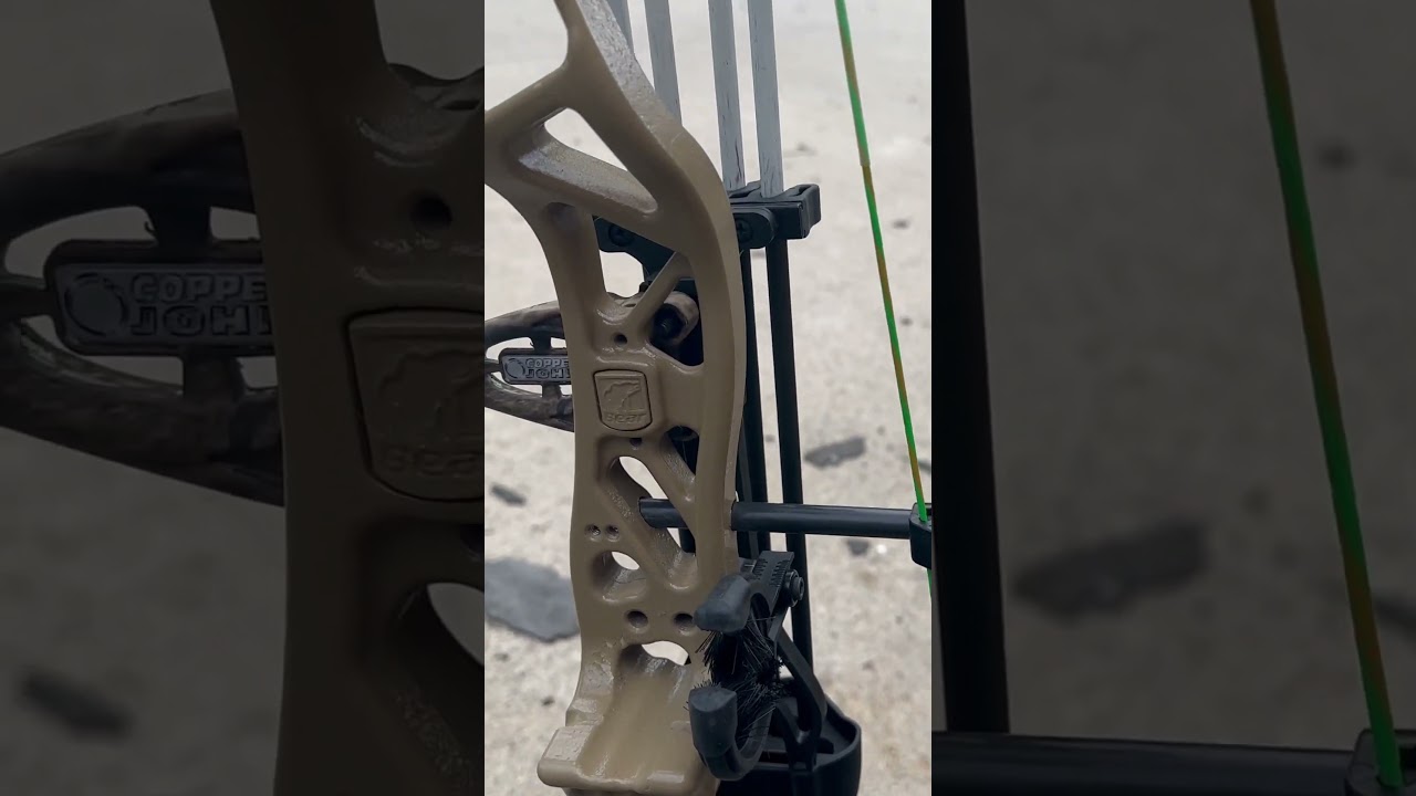 Custom bear paradox like and subscribe 