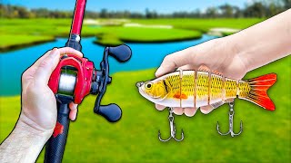 1v1 GIANT Lures Only Bass Fishing Challenge!