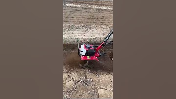 Máy cày đất mini máy xới đất mini máy làm cỏ nông nghiệp máy vun luống ngô đa năng #bgmi