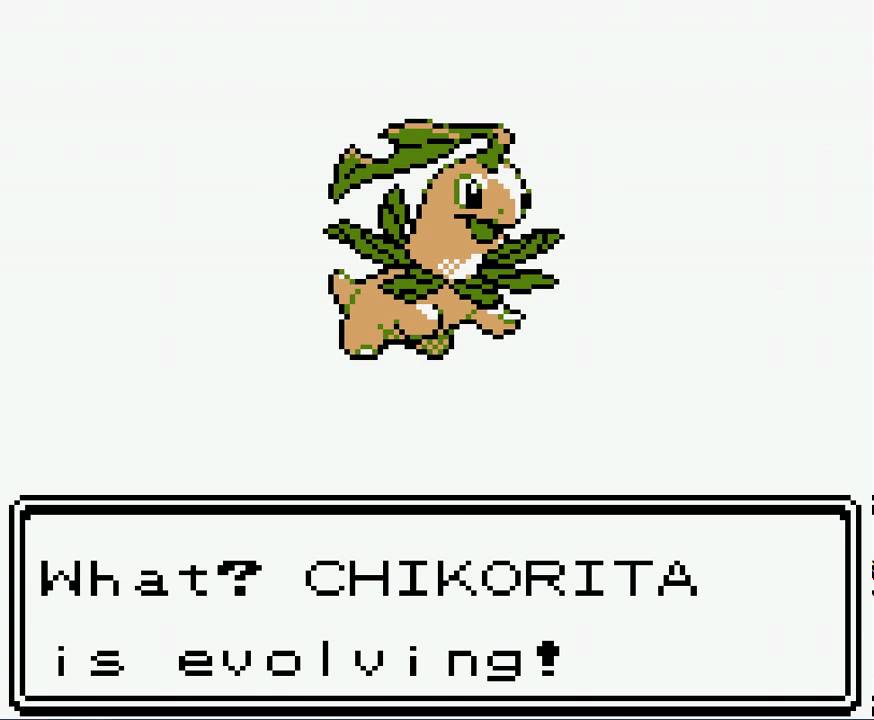 Chikorita Pokemon Evolution Chart