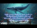 أغنية الرجل العجوز والبحر 老人与海 