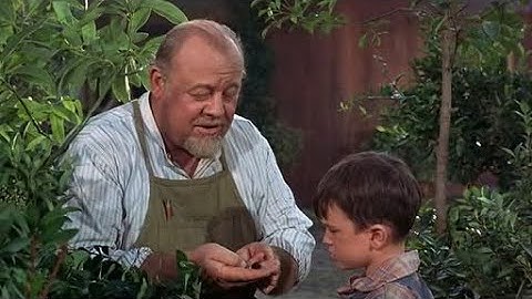 The Ugly Bug Ball (Picture Song)