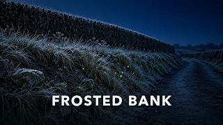 Glow-worms on a Frosted Hedgerow Bank 🌙 2 Hours of Ambience for Reading, Focus & Sleep screenshot 5