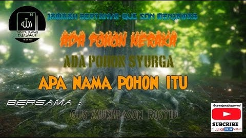 💥APA NAMA POHON2 ITU💥SESI TANYA JAWAB SEPUTAR DUNIA TASAWWUF-GUS MUKHLASON ROSYID-PONPES JAYA BARU