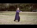 Wudang Sanfeng Taiji Jian 36 shi