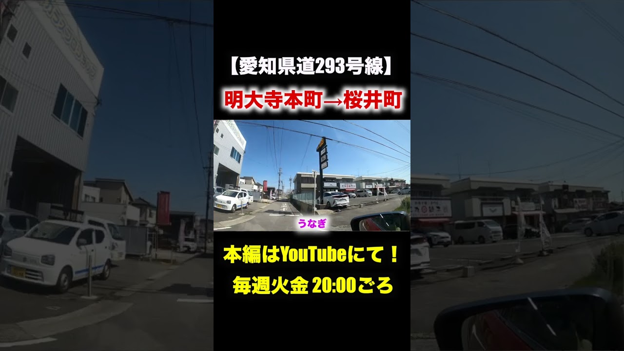 愛知県道293号線をドライブ！飲食店激アツゾーンです！ 