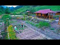 SANG Vy's AMAZING Eco-Farming Journey! Saves Garden After FLOODS!