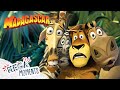 To the wild  madagascar  extended preview  mega moments