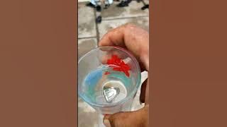 LOLOS TESTI ANTI TEMBAK BATU ATI AYAM PUNYA PAK KIAI QODIR SEMBUNG BANYUATES ! DI BSG GROUP