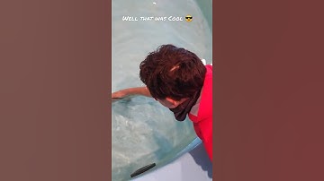 petting a leopard shark in California open ocean