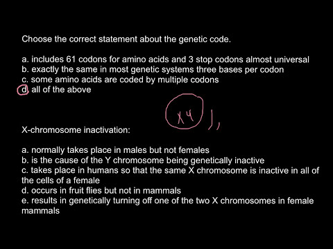 X-chromosome inactivation