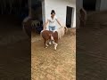 Horseback riding