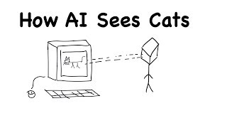 How AI Sees Cats