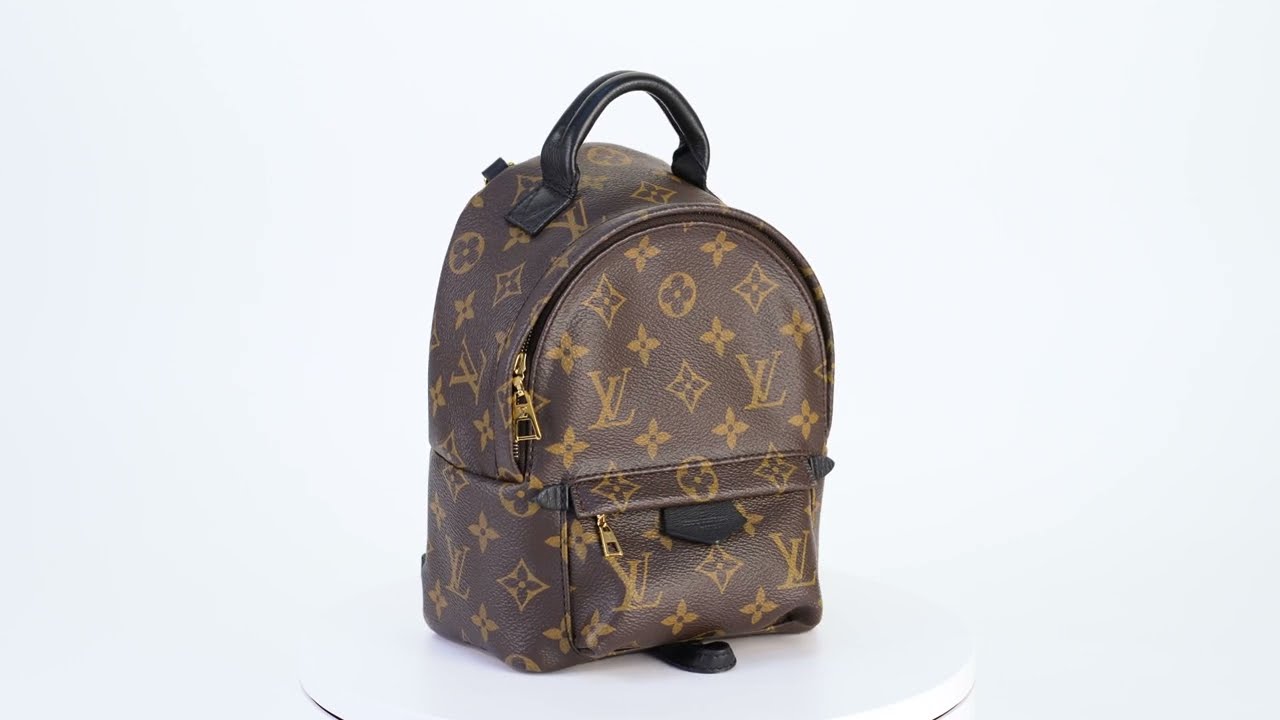 Louis Vuitton Palm Springs Monogram Mini Backpack Brown