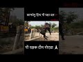 जय गौ माता 🙏🏻@kamdhenu