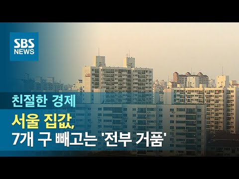 서울 집값, 7개 구 빼고는 &amp;#39;전부 거품&amp;#39; / SBS / 친절한 경제