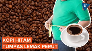 Kopi Hitam, Solusi Nikmat Menumpas Lemak Perut