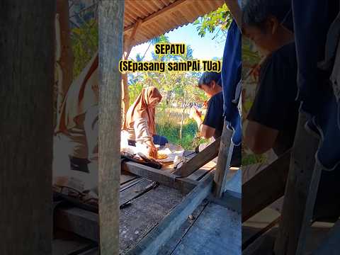 SEPATU (SEpasang samPAi TUa) #sawah #romantic #lombok #nature #djegol82