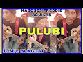 kaboses ni freddie aguilar - Pulubi cover by Josue Banggat