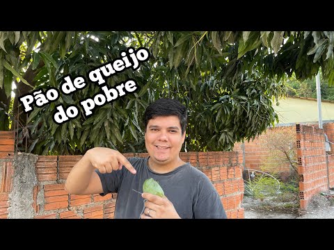 Pão de queijo de pobre no interior!