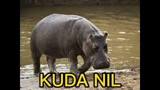 SUARA KUDA NIL