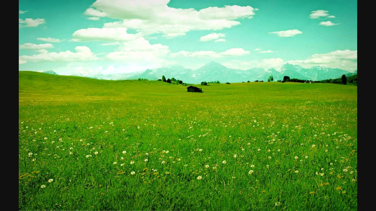 Dil Ka Raja Lyrics By - Himmatwala (1998) Full HD Song