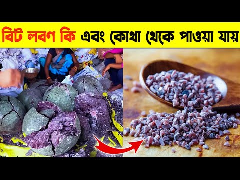 ভিডিও: কিভাবে ভুসি টমেটো জন্মাতে হয়?