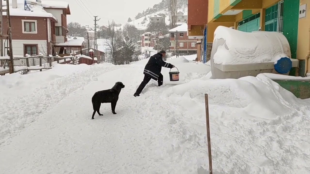 KÖYDE KIŞ #viral #köy #kızılelma #animals #sivas #koyulhisar #vlog #egricimenyaylasi