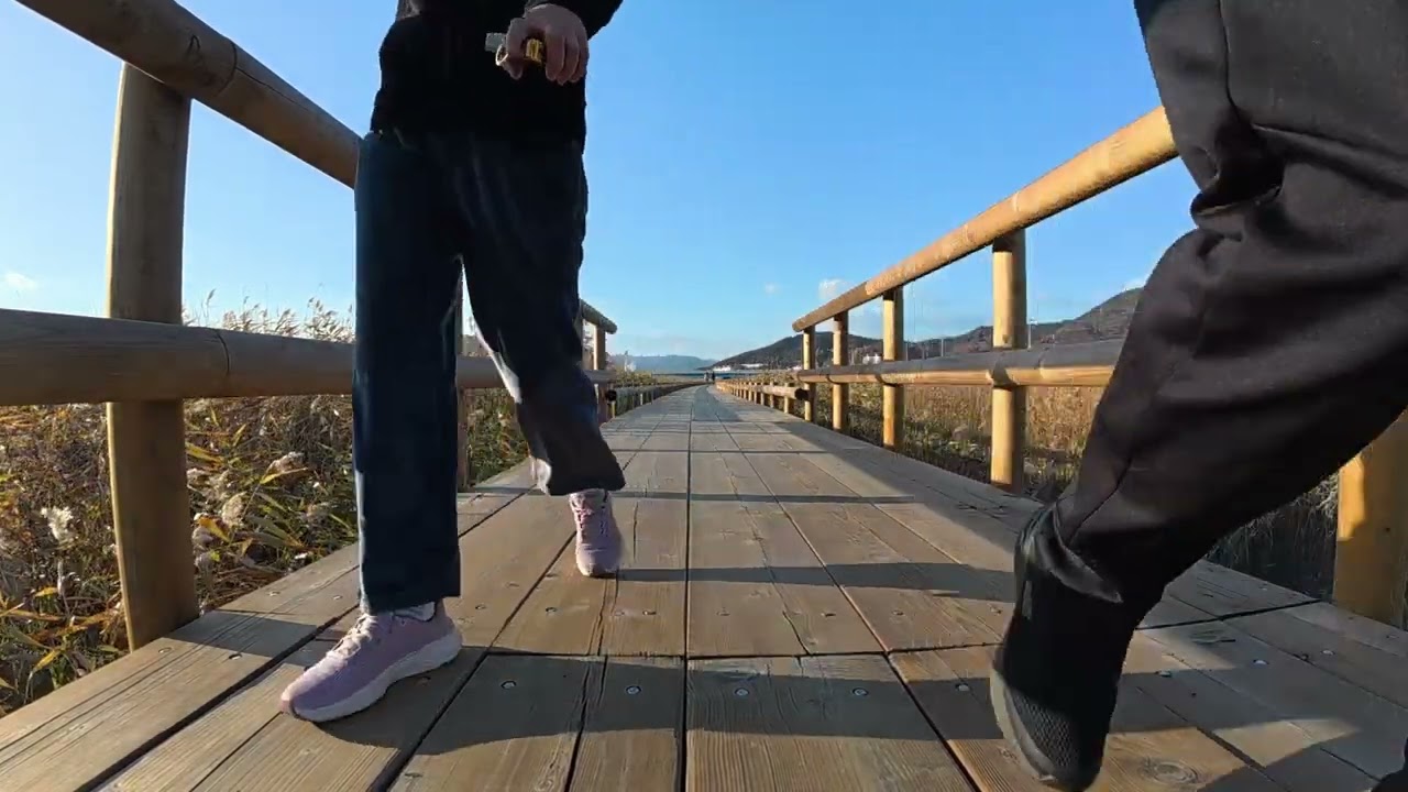 벌교 제석산 그리고 벌교 습지